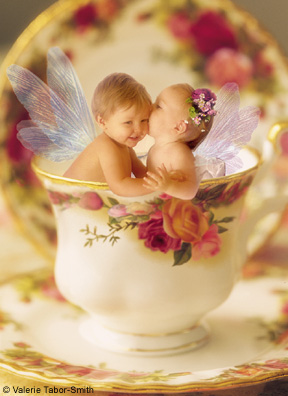 angelsinacup.jpg