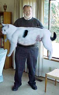 fatcat.jpg