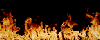 firelineburning.gif