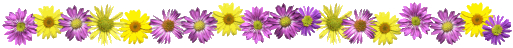 flowerslinemulticolors.gif