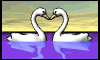 swan_heart.gif
